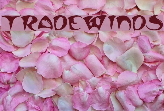 TradeWinds Example 2