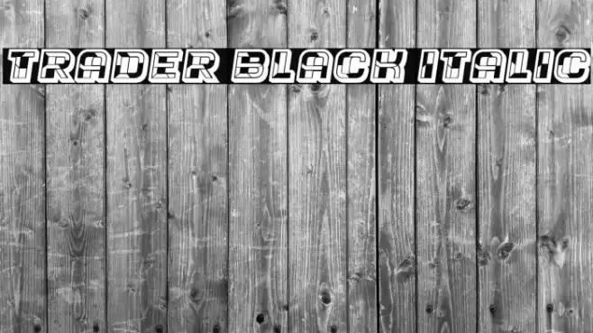 Trader Black Italic Font examples