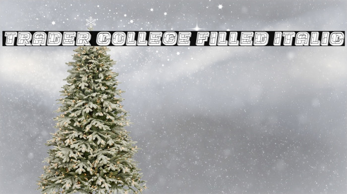 Trader College Filled Italic Example 1