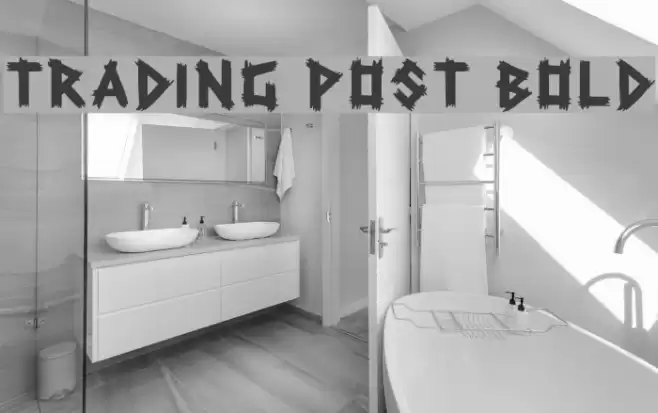 Trading Post Bold Fonte examples