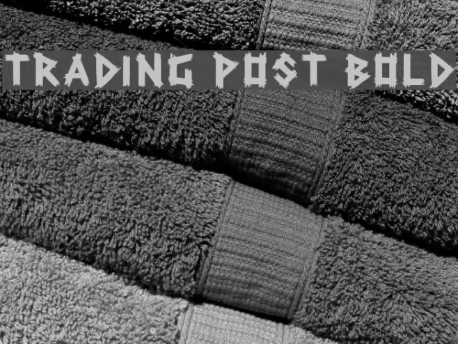 Trading Post Bold Fonte examples
