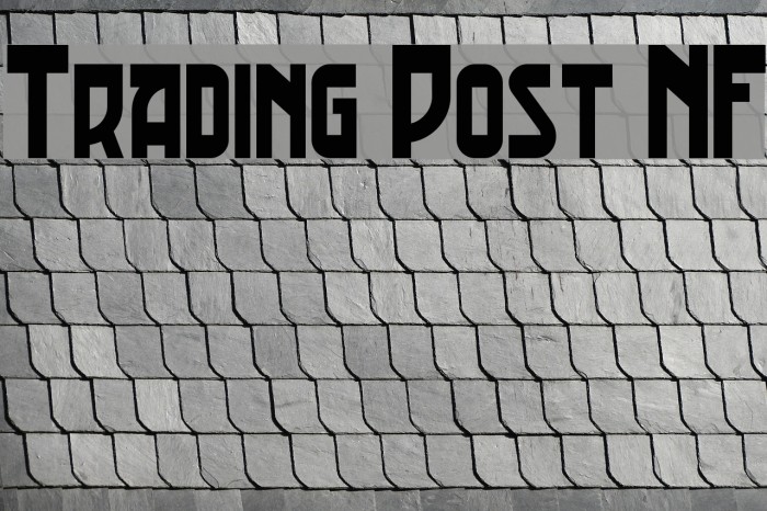 Trading Post NF Polices examples