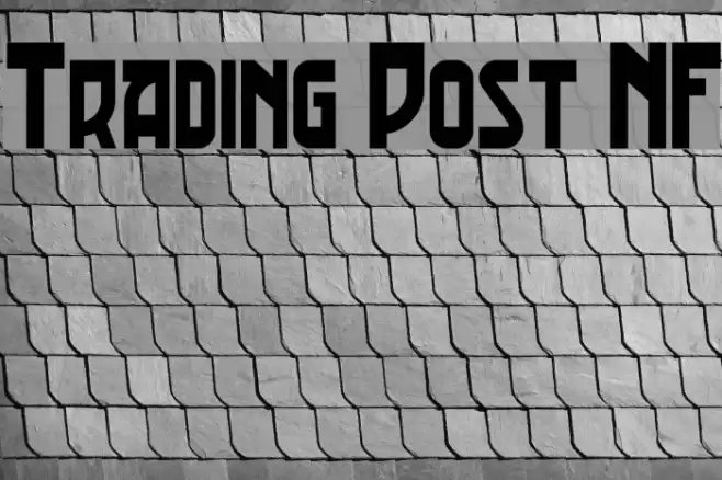 Trading Post NF Polices examples