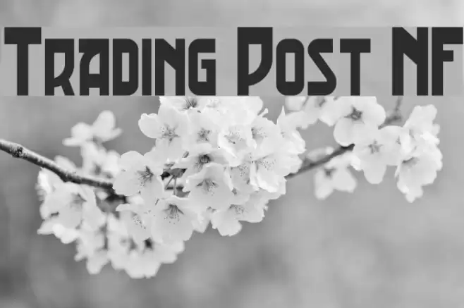Trading Post NF Polices examples