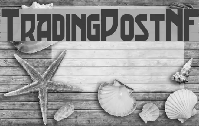 TradingPostNF Font examples