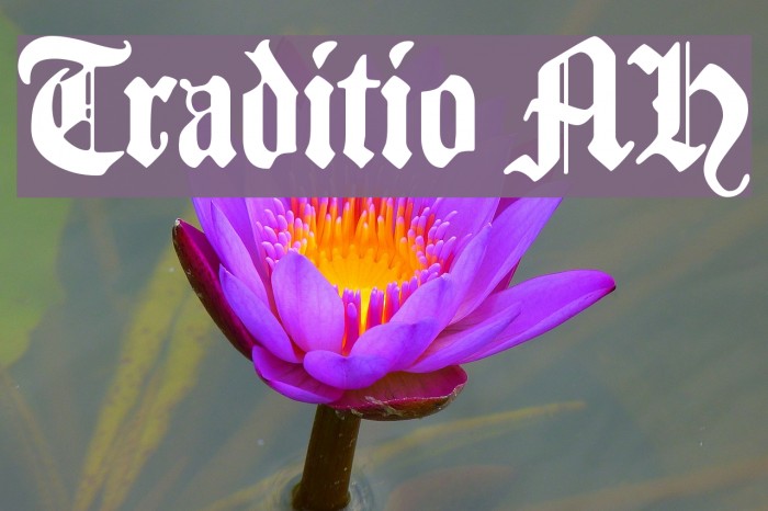 Traditio AH Font examples