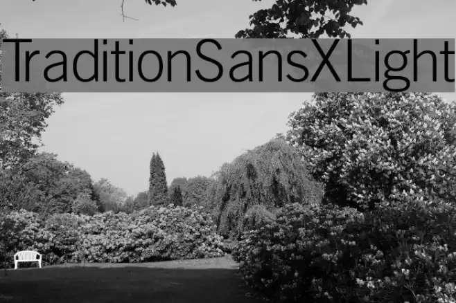 TraditionSansXLight  examples