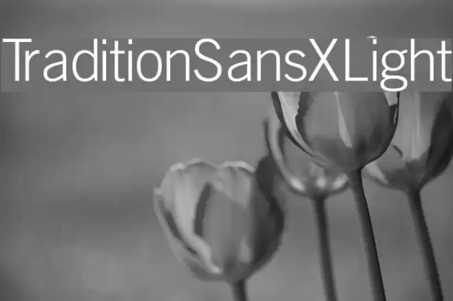 TraditionSansXLight  examples