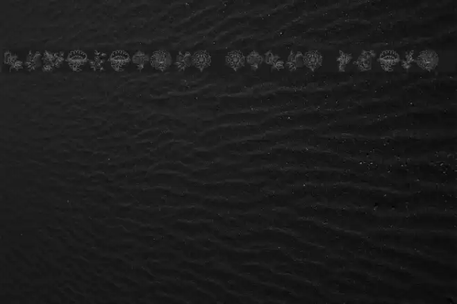 Traditional Floral Design II Font examples