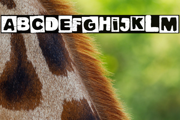 Traditional Punk Example 1