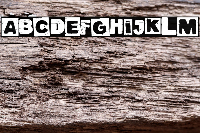 Traditional Punk Example 3