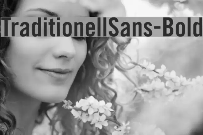 TraditionellSans-Bold Font examples