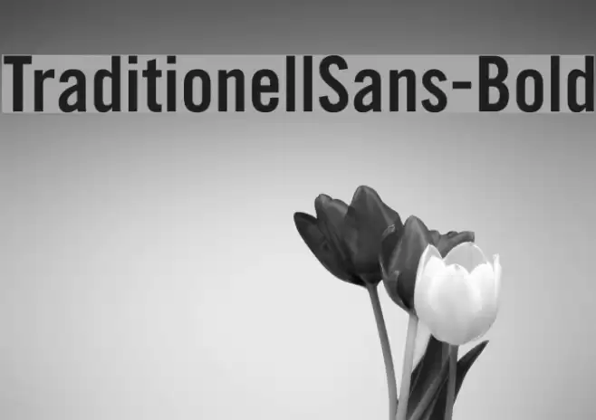 TraditionellSans-Bold Font examples