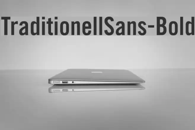 TraditionellSans-Bold Font examples