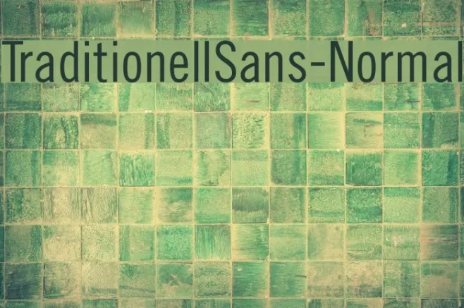 TraditionellSans-Normal Example 1