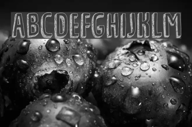 Tradizional DEMO Regular Font examples