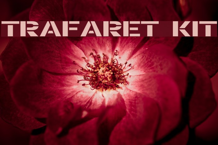 Trafaret Kit Font examples