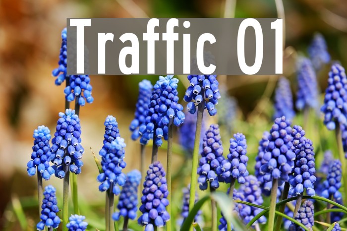 Traffic 01 Font examples