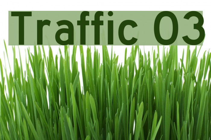 Traffic 03 Font examples