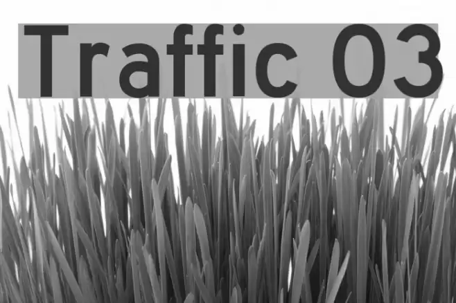 Traffic 03 Font examples