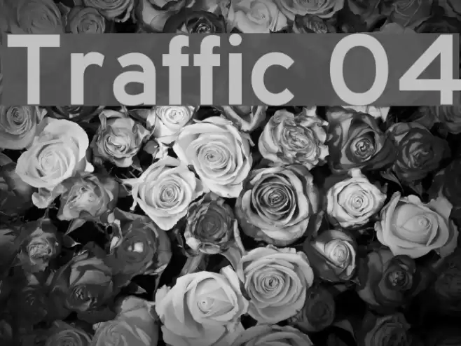 Traffic 04 Font examples