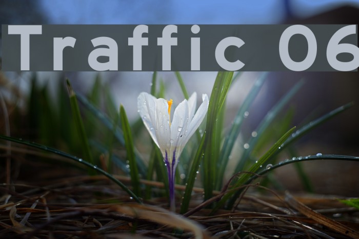 Traffic 06 Font examples