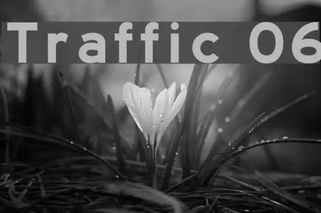 Traffic 06 Font examples
