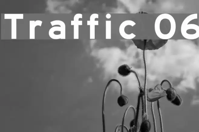 Traffic 06 Font examples