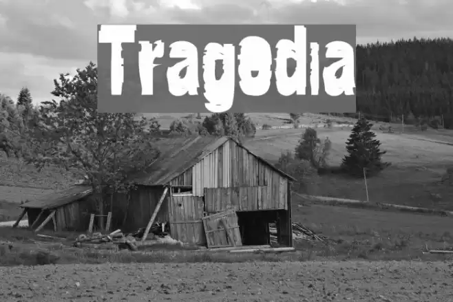 Tragedia Polices examples