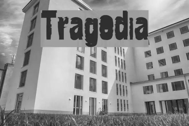 Tragedia Polices examples