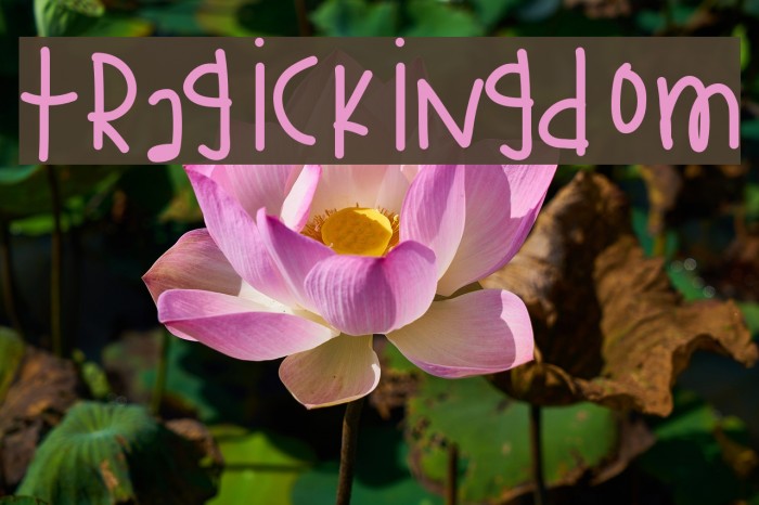 TragicKingdom Font examples