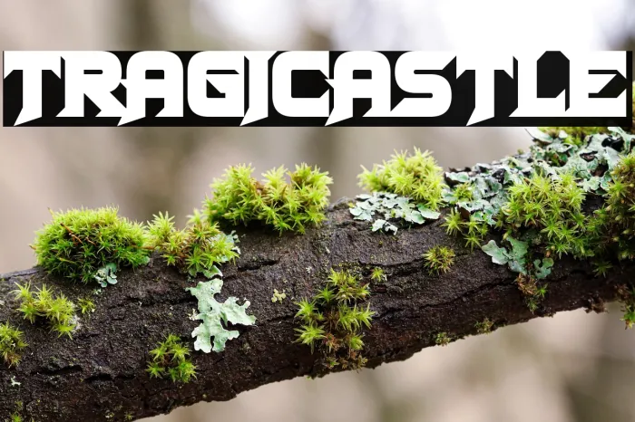 Tragicastle Example 2