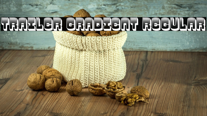 Trailer Gradient Regular Example 1