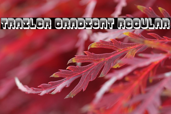 Trailer Gradient Regular Example 3