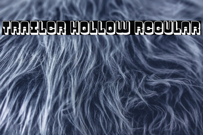 Trailer Hollow Regular Example 2