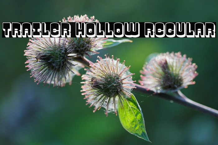 Trailer Hollow Regular Example 3