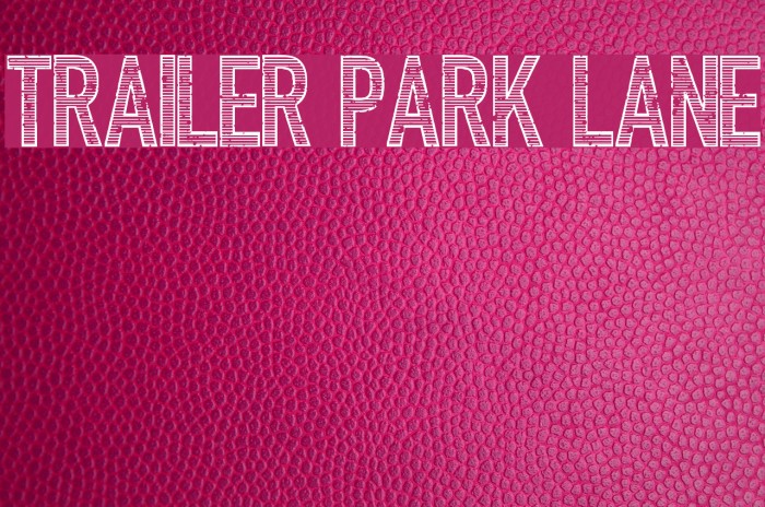 Trailer Park Lane Font examples