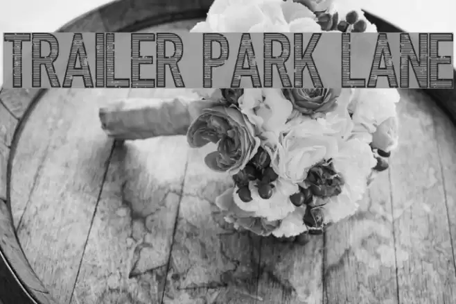 Trailer Park Lane Font examples