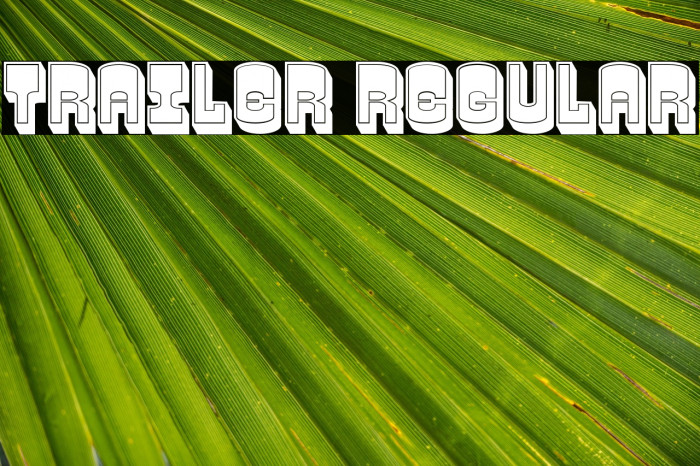 Trailer Regular Example 2