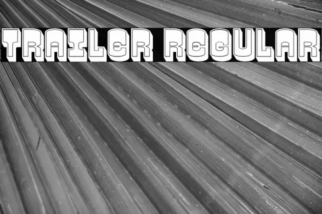 Trailer Regular Font examples