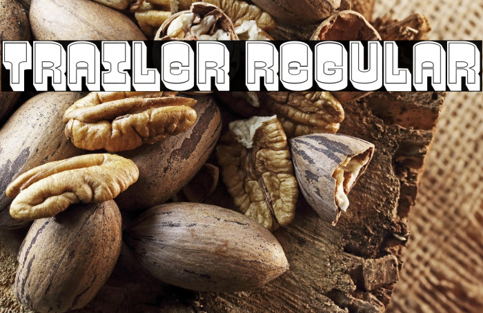 Trailer Regular Example 3