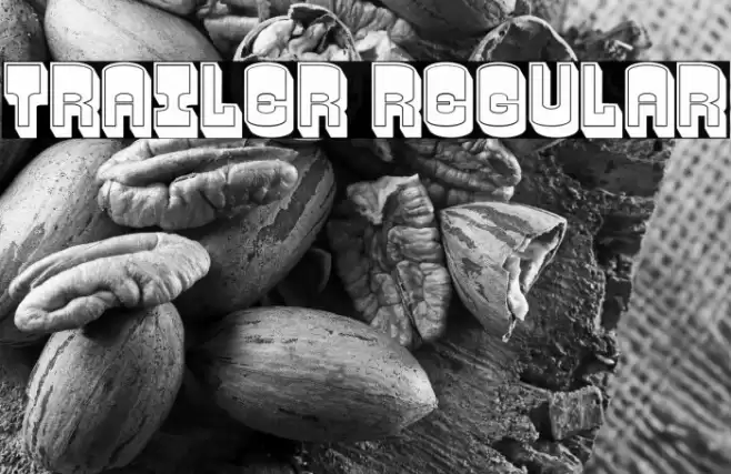 Trailer Regular Font examples
