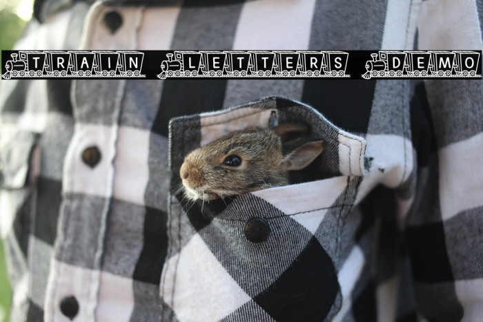 Train Letters Demo Example 2