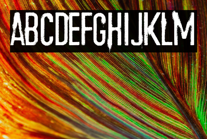 Train to Nevada Example 1