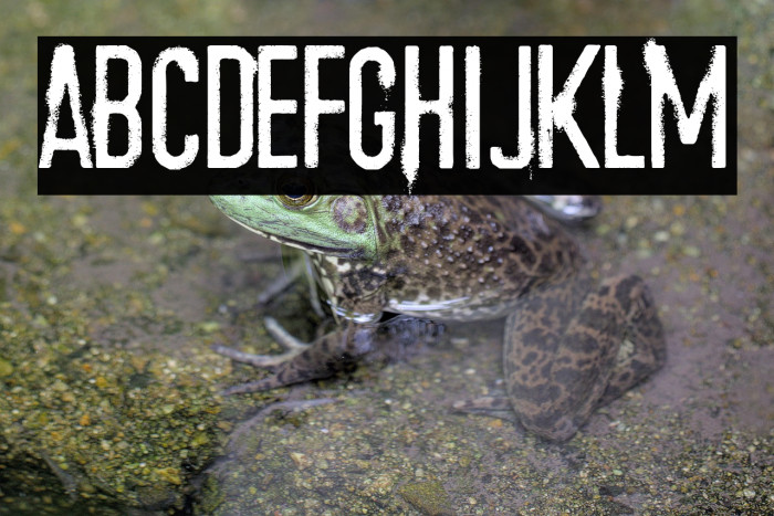 Train to Nevada Example 3