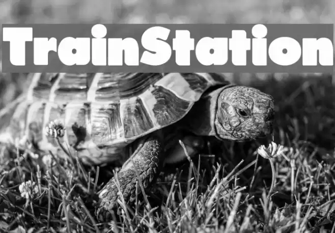 TrainStation Font examples