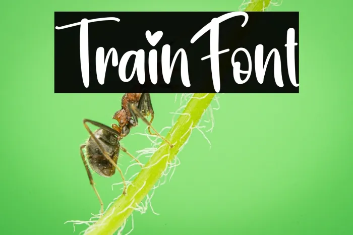 Train Example 3