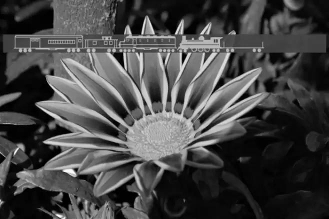 Trains 字体 examples