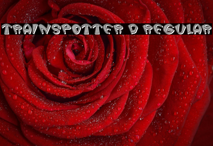 Trainspotter 3D Regular Example 2