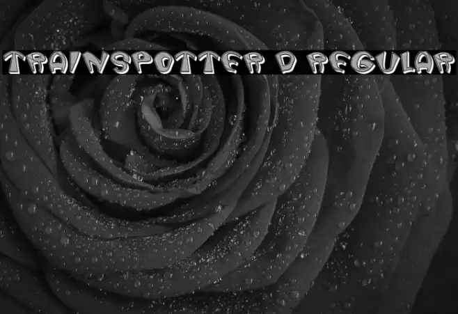 Trainspotter 3D Regular Font examples